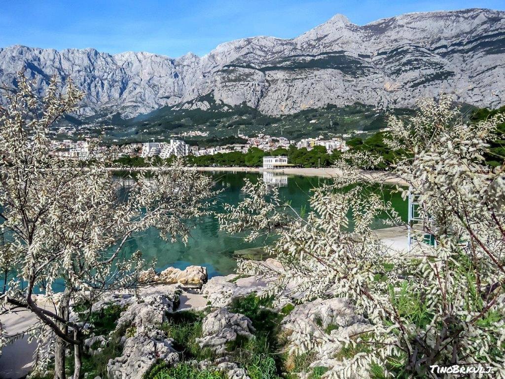 Luxury Apartments Nadalina Sea View Makarska Kültér fotó